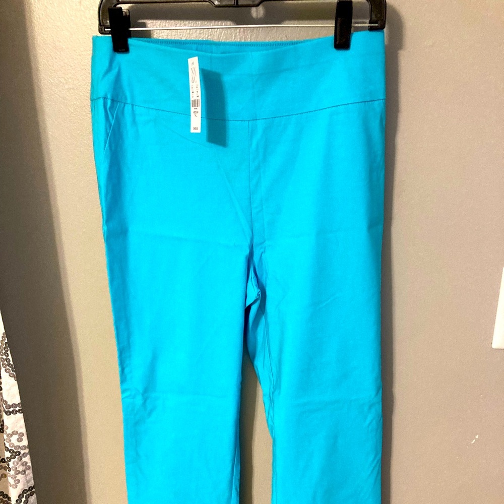 NWT Women’s New York & Company Blue Pull on pants crop medium tall stretch